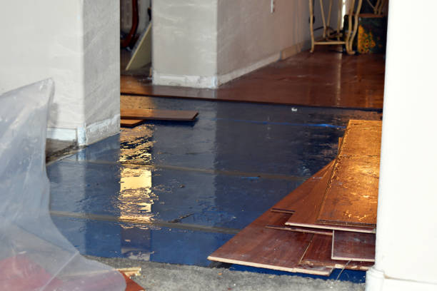 Professional Burst Pipe Cleanup technician working in Baden, MD